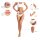 RICA Warmwachs ROSA Dose 400 ml