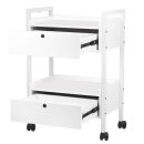 Cosmetic trolley type 1019